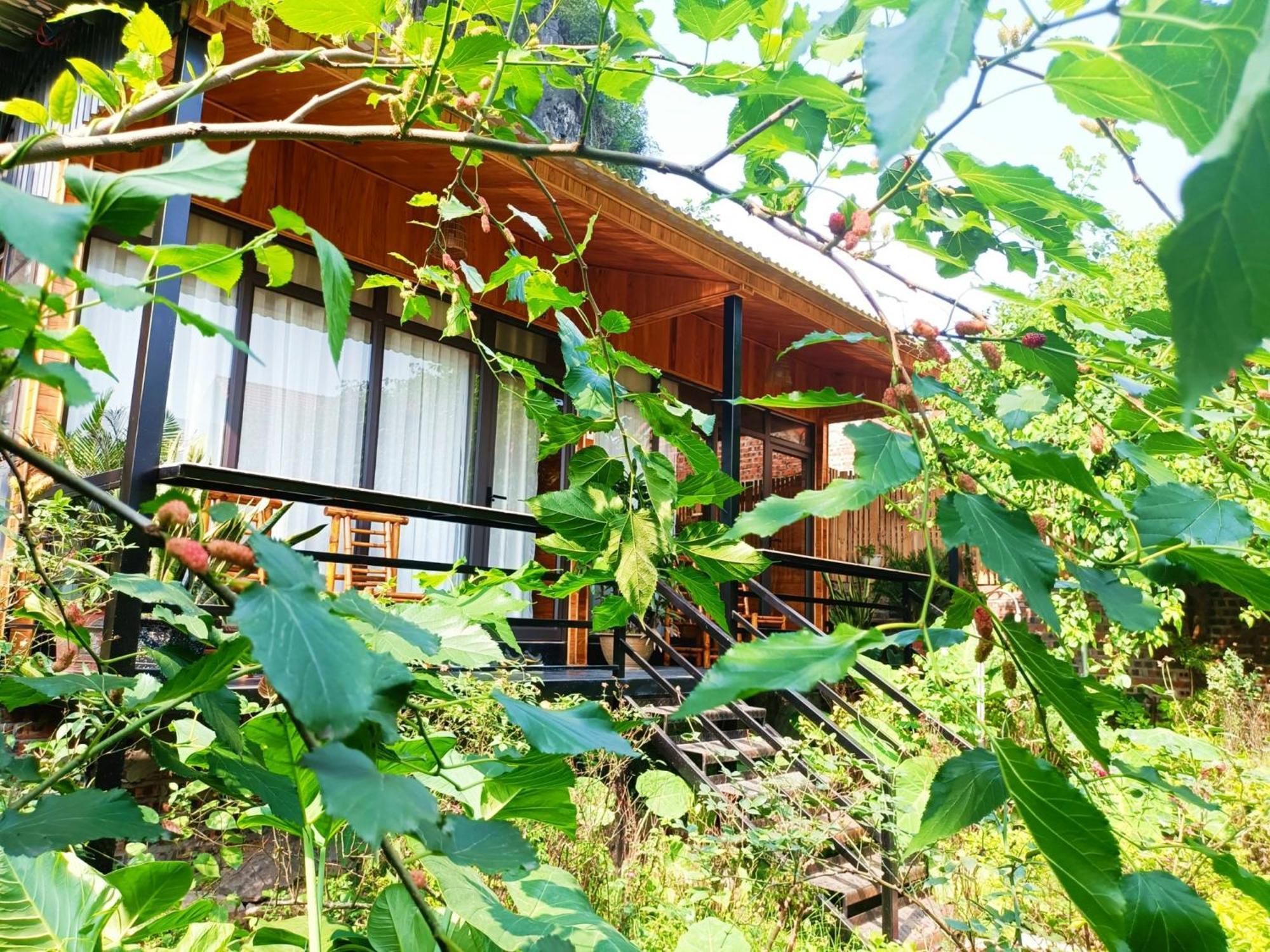 Tam Coc Sunshine Homestay Ниньбинь Экстерьер фото