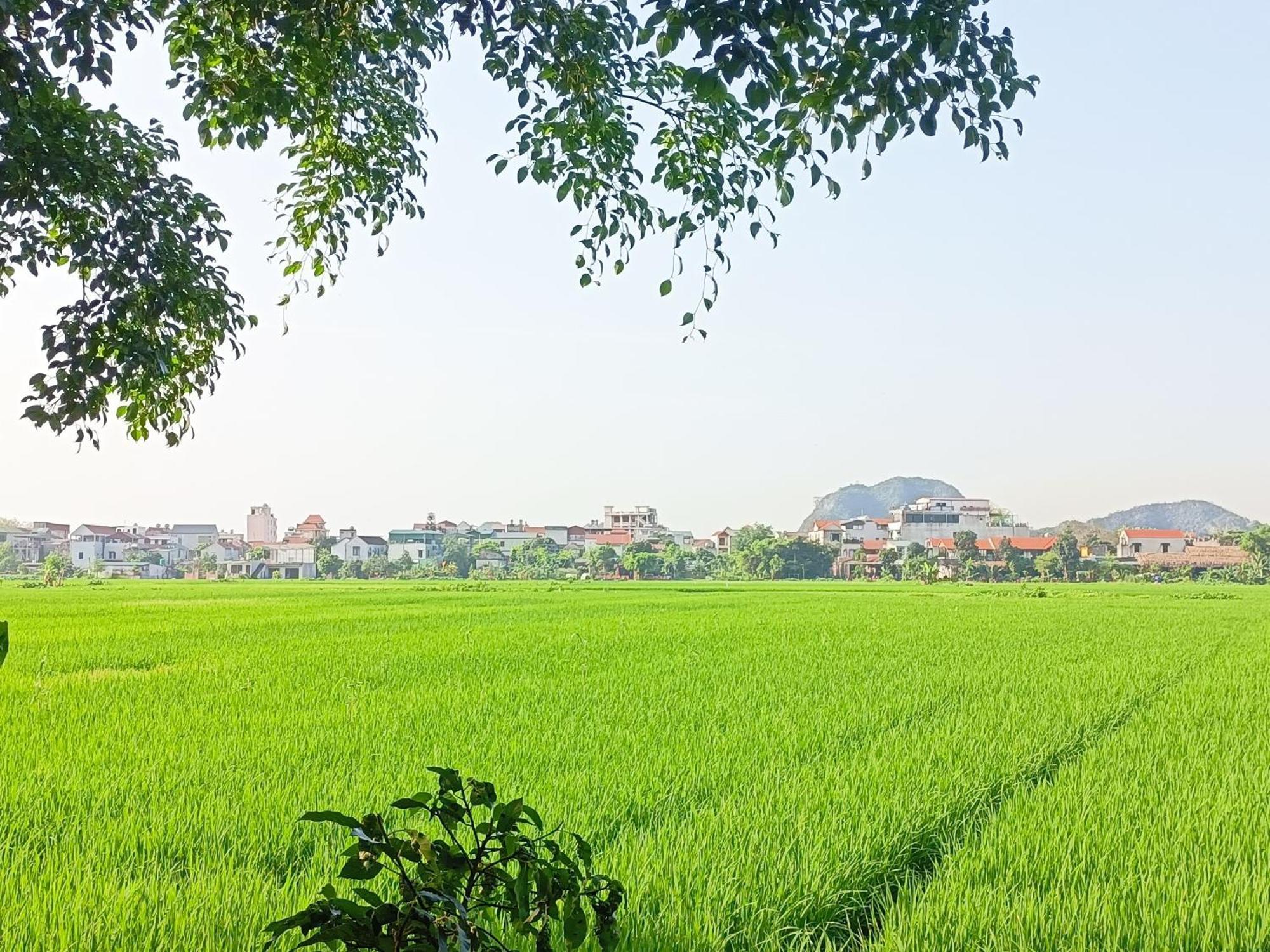 Tam Coc Sunshine Homestay Ниньбинь Экстерьер фото
