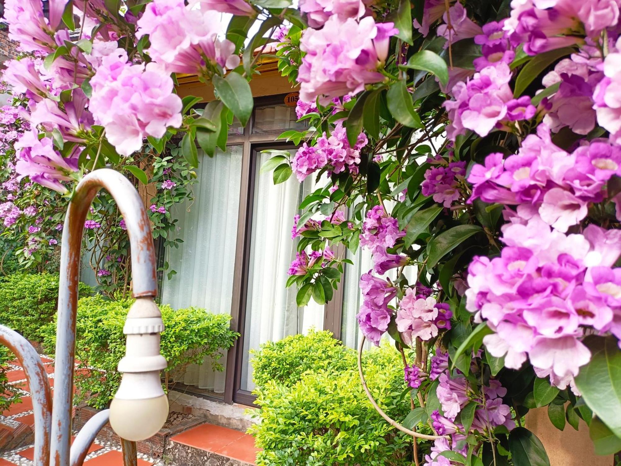 Tam Coc Sunshine Homestay Ниньбинь Экстерьер фото