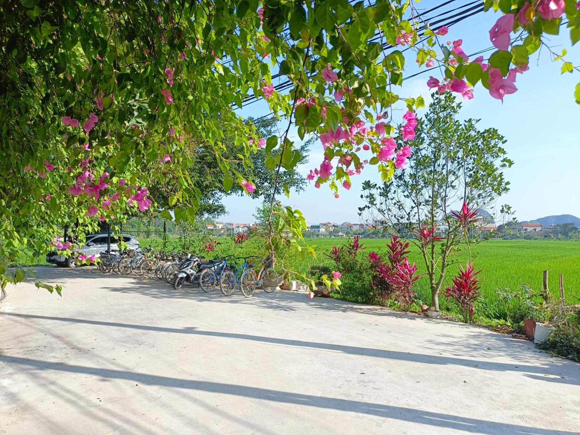 Tam Coc Sunshine Homestay Ниньбинь Экстерьер фото