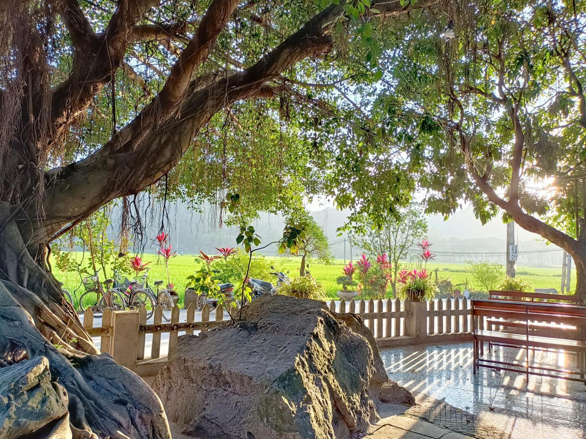Tam Coc Sunshine Homestay Ниньбинь Экстерьер фото