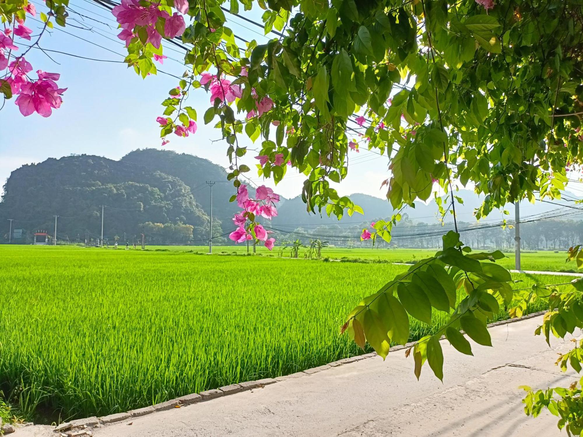 Tam Coc Sunshine Homestay Ниньбинь Экстерьер фото