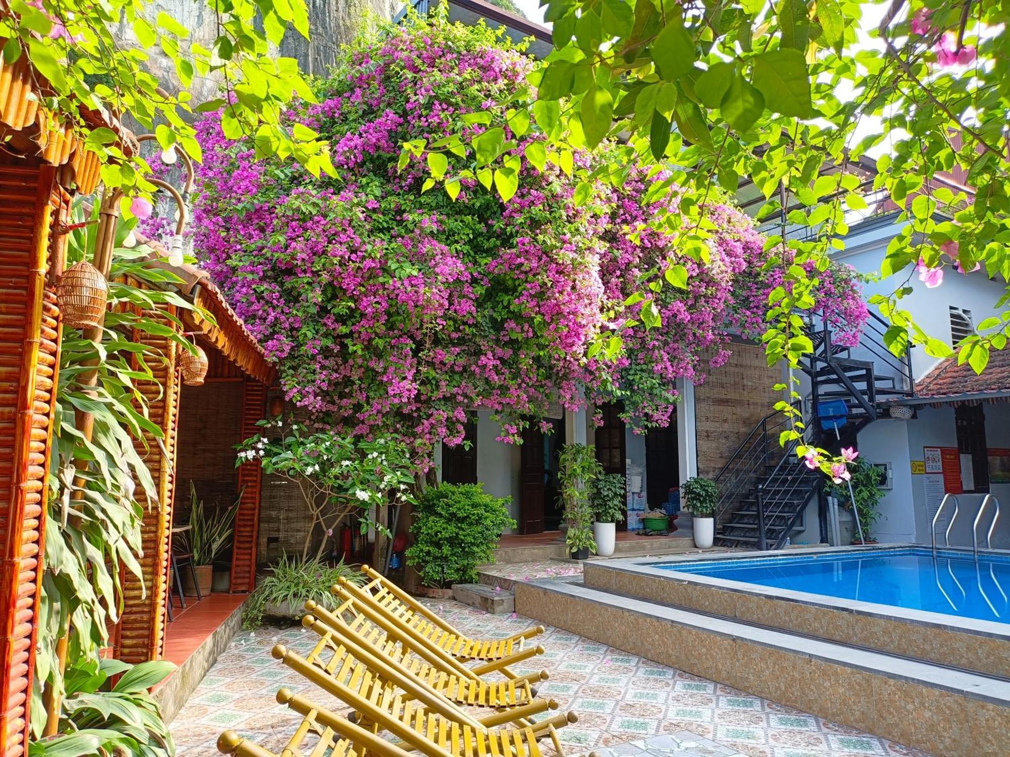 Tam Coc Sunshine Homestay Ниньбинь Экстерьер фото